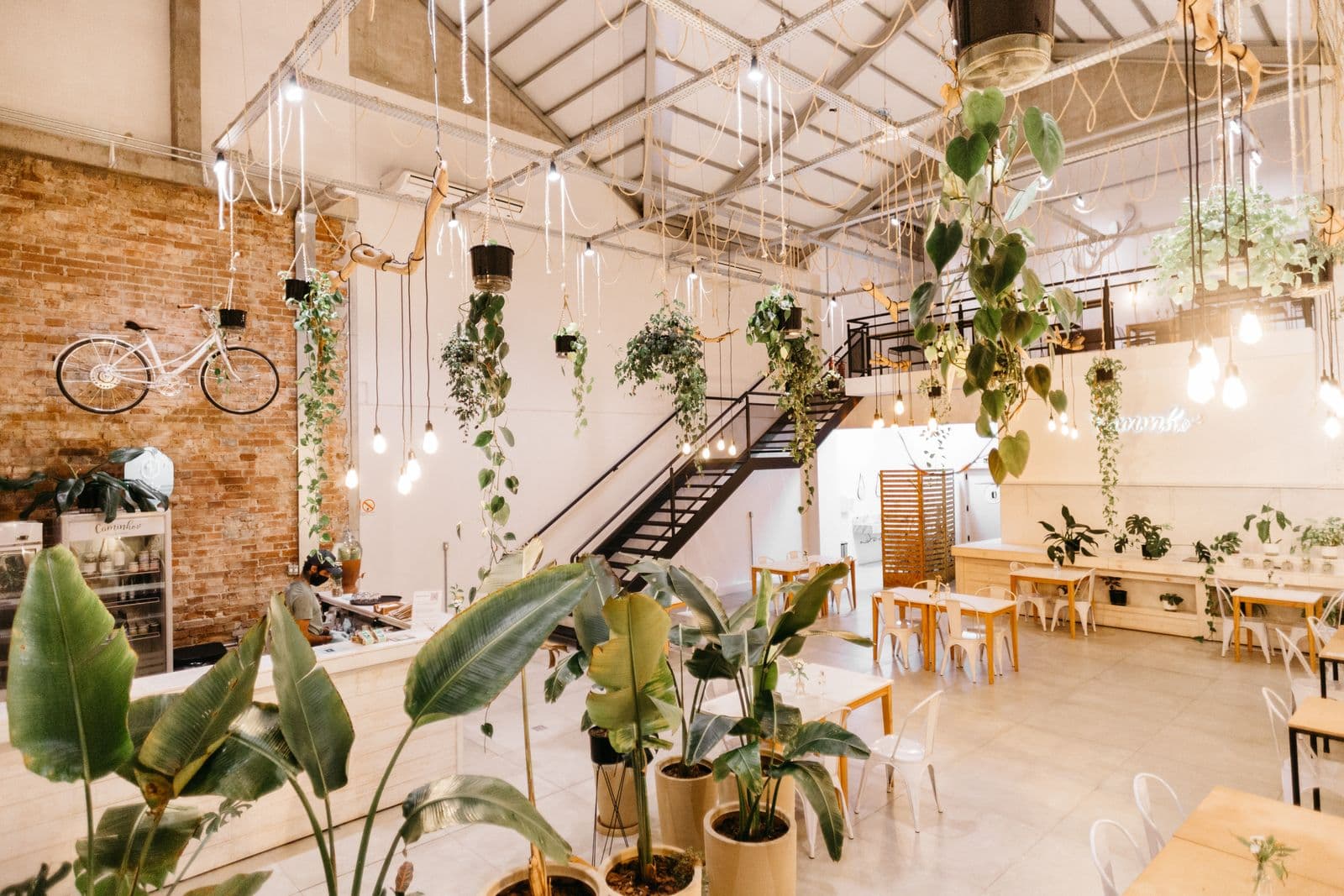 A warm, plant-filled cafe and workspace